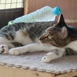 エニちゃん (1).JPG